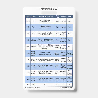 PPS / KPS Badge Buddy for Hospice Nurses ID Badge
