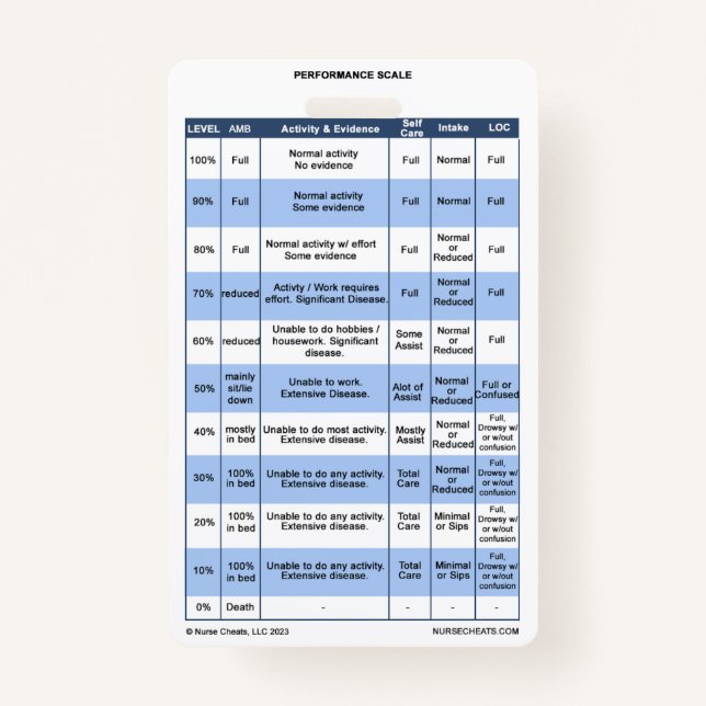 PPS / KPS Badge Buddy for Hospice Nurses ID Badge (Front)