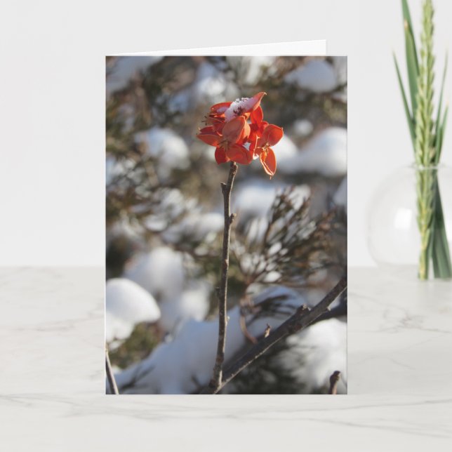 "Prairie Blossom" Christmas Card (Front)