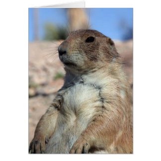 "Prairie Companion" Card.  Customise me!