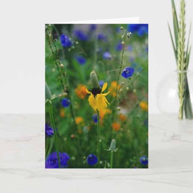 Prairie Coneflower - birthday Card (Front)