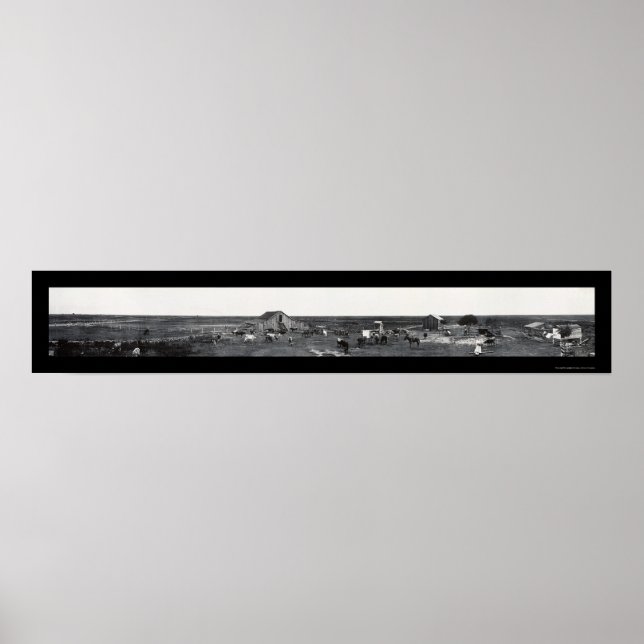 Prairie Dairy Farm LA Photo 1910 Poster (Front)