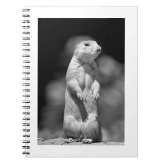 Prairie Dog#1-Notebook Notebook