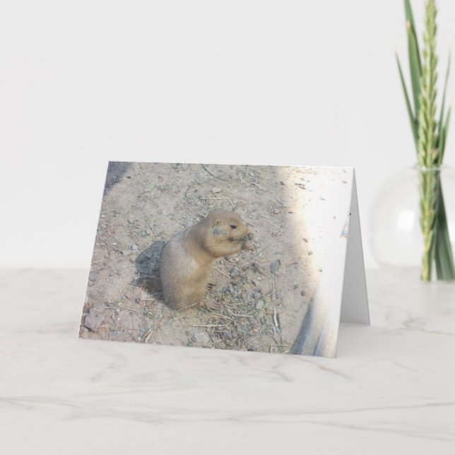 "Prairie Dog #2" Thank You Card (Front)