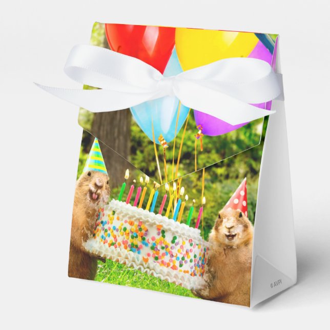 Prairie Dog Birthday Party Favour Box (Front Side)