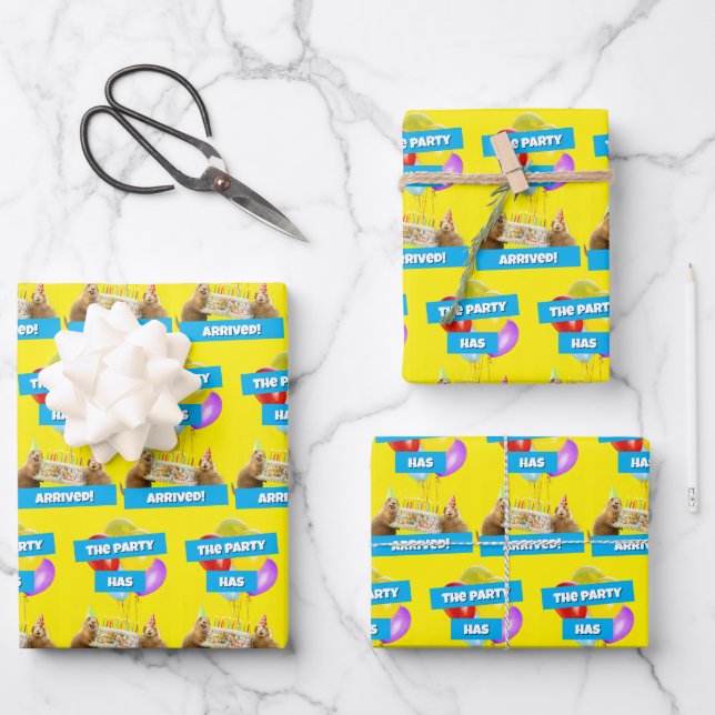 Prairie Dog Birthday Party Wrapping Paper Sheet (Front)