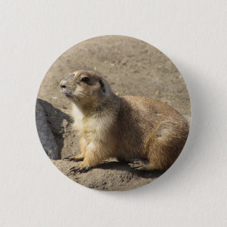 Prairie Dog Button
