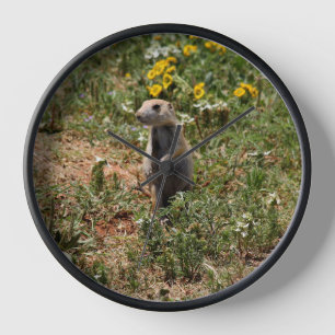 Prairie Dog Clock