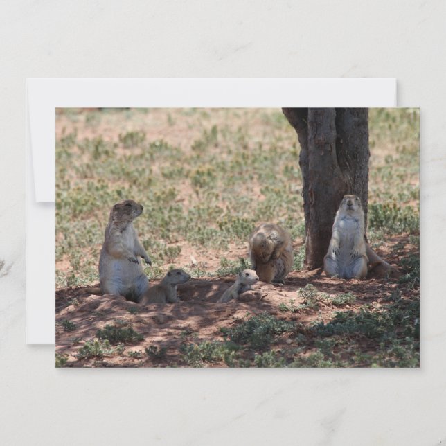Prairie Dog Family Card (Front)