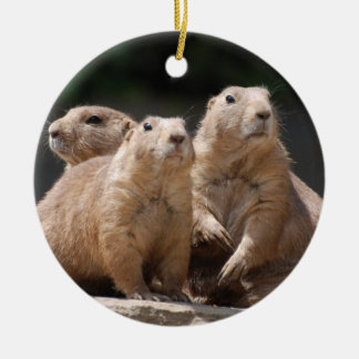 Prairie Dog Family Ceramic Tree Decoration