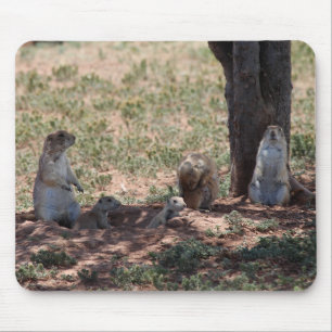 Prairie Dog Family Mouse Pad