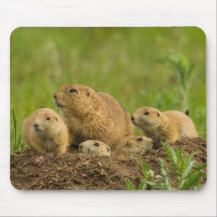 Prairie Dog Family on Den Mouse Pad