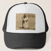 Prairie Dog Hat
