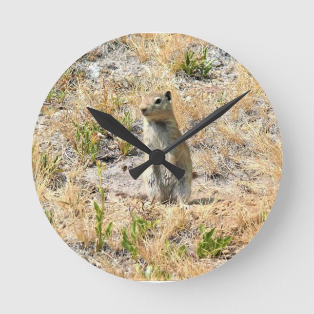 Prairie Dog in Yosemite, CA Round Clock (Front)