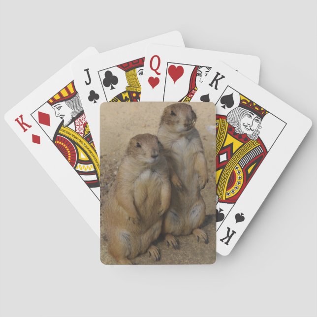 Prairie dog Playing card (Back)
