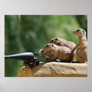 Prairie Dog Soldiers Poster