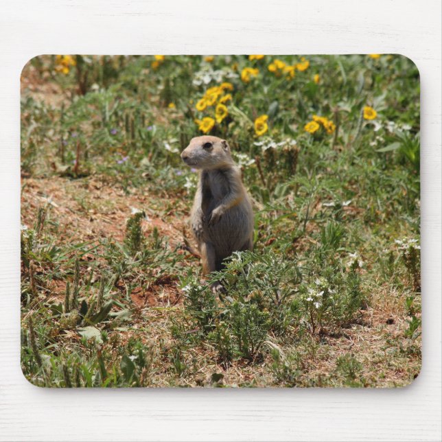 Prairie Dog Solo Mouse Pad (Front)