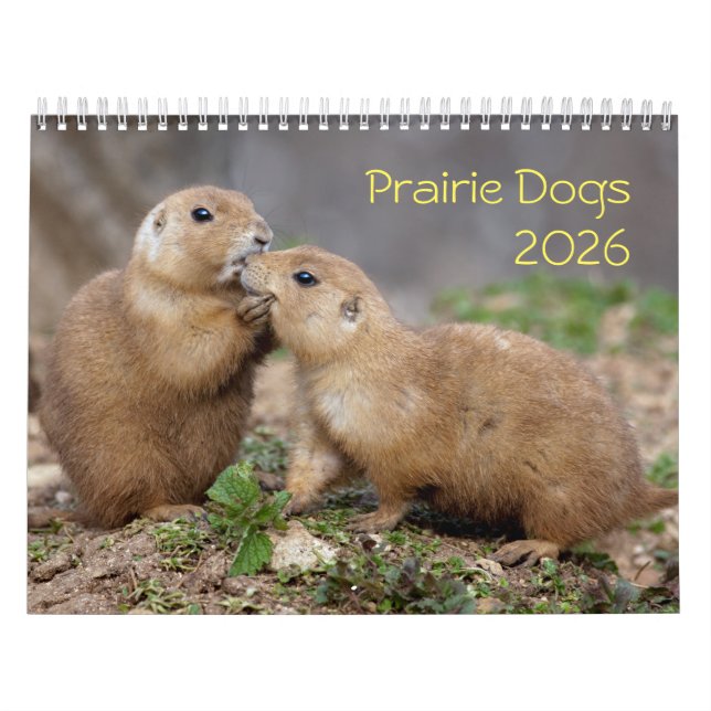 Prairie Dogs Calendar (Cover)