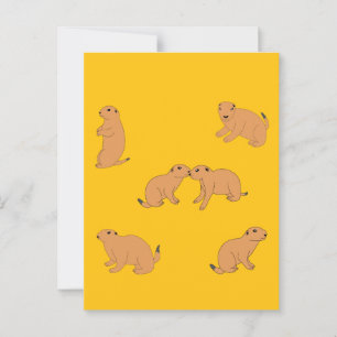 Prairie Dogs Postcard