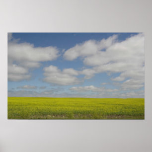 Prairie Fields Print Manitoba Landscape Prints
