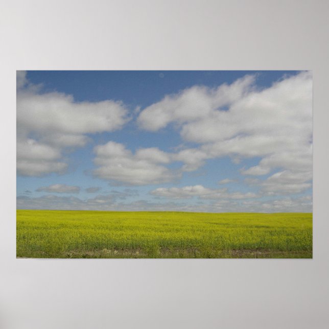 Prairie Fields Print Manitoba Landscape Prints (Front)