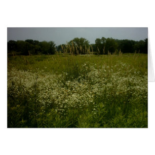 Prairie Flowers Card