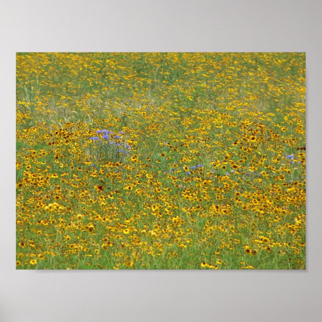 Prairie flowers, Indiana Poster (Front)