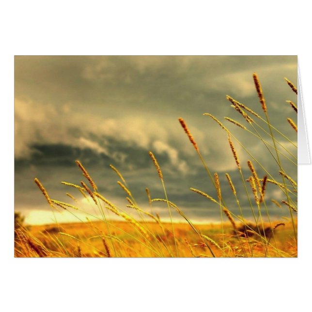 Prairie Grass (Front Horizontal)