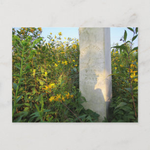 Prairie Gravestones, Bigelow Cemetery, Ohio Postcard