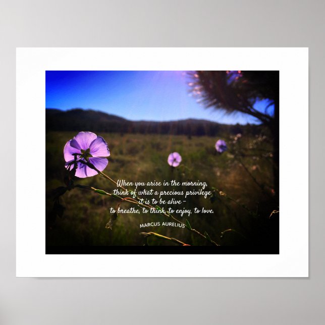 Prairie Hill Sunset Silhouette Photo Custom Text Poster (Front)