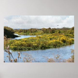 Prairie in Bloom Art Poster -36x24 -other sizes