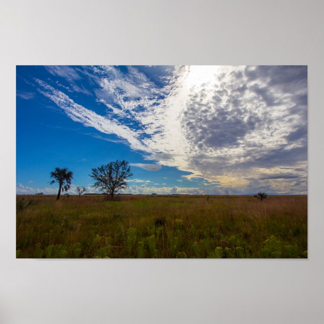 Prairie, Kissimmee Prairie Preserve State Park, FL Poster