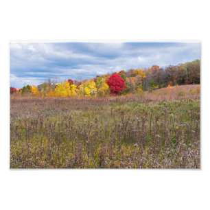 prairie landscape in autumn at afton state park photo print