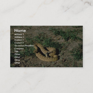 Prairie rattlesnake business card