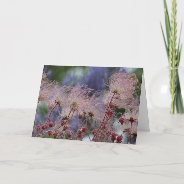 Prairie Smoke Card (Front)