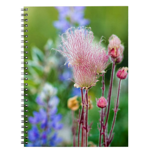 Prairie Smoke Wildflowers In Aspen Grove 2 Spiral Notebook (Front)