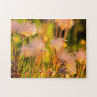 Prairie Smoke Wildflowers In Aspen Grove