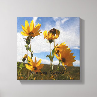 Prairie Sunset Canvas Print