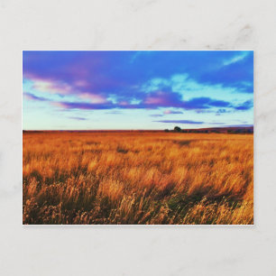 Prairie Sunset Postcard