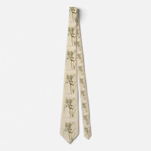 Prairie Warbler from Audubon's Birds of America Tie