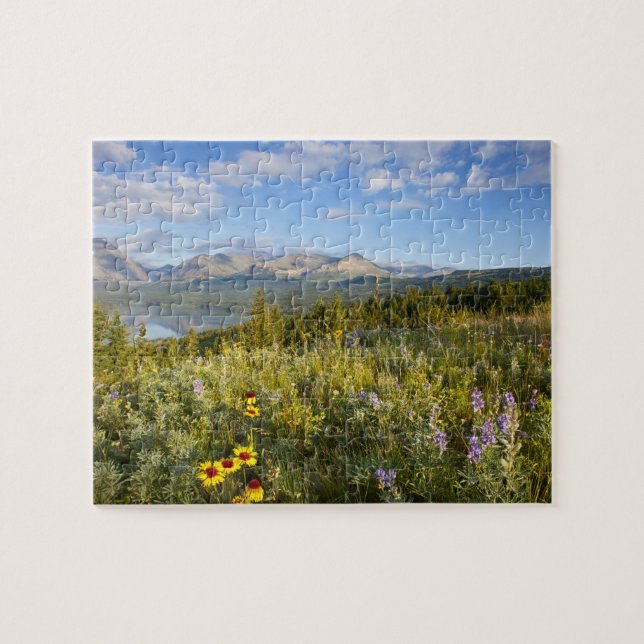 Prairie wildflowers and Lower Two Medicine Lake Jigsaw Puzzle (Horizontal)