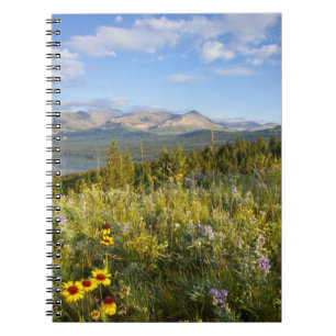 Prairie wildflowers and Lower Two Medicine Lake Notebook