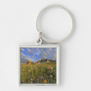 Prairie Wildflowers at Windy Creek in the Many Key Ring