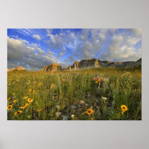 Prairie Wildflowers at Windy Creek in the Many Poster