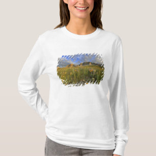 Prairie Wildflowers at Windy Creek in the Many T-Shirt