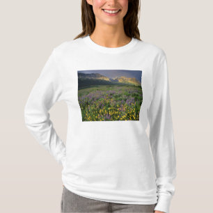 Prairie wildflowers fill meadow near Lake T-Shirt
