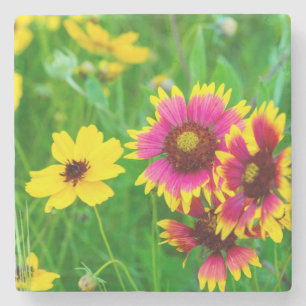 Prairie wildflowers in Hill Country Stone Coaster