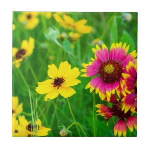 Prairie wildflowers in Hill Country Tile