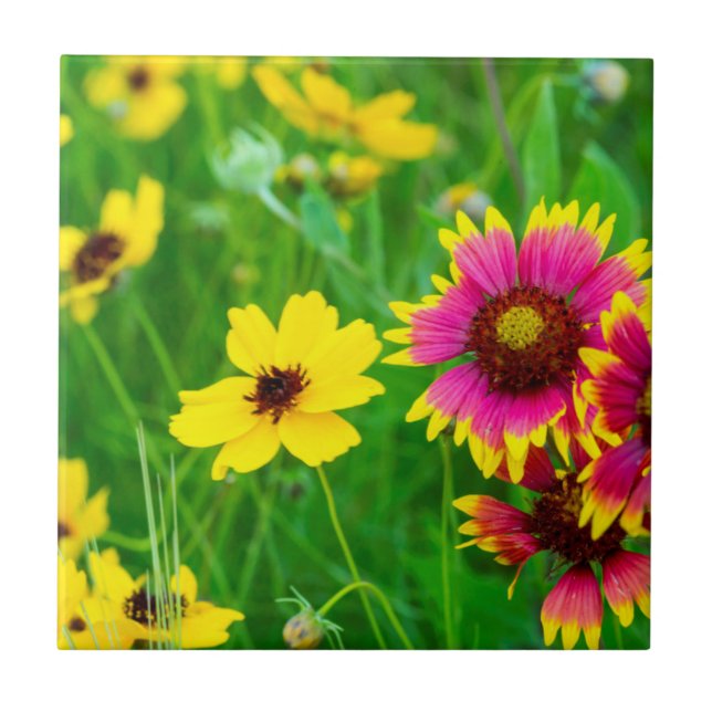 Prairie wildflowers in Hill Country Tile (Front)