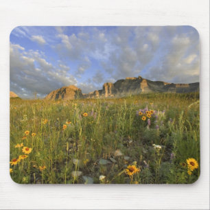 Prairie Wildflowers in Many Glacier Valley at Mouse Pad